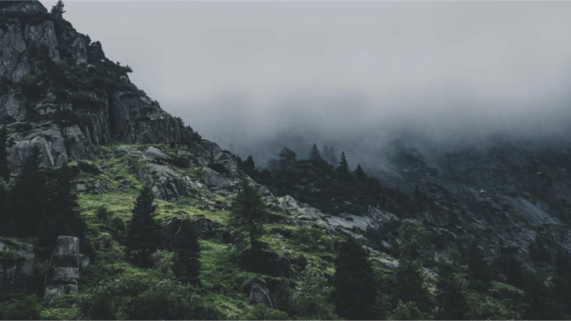 热烈祝贺玉森林官网正式试运营，玉森林JADE FOREST公司成立于2021年，总部坐落于中国北京