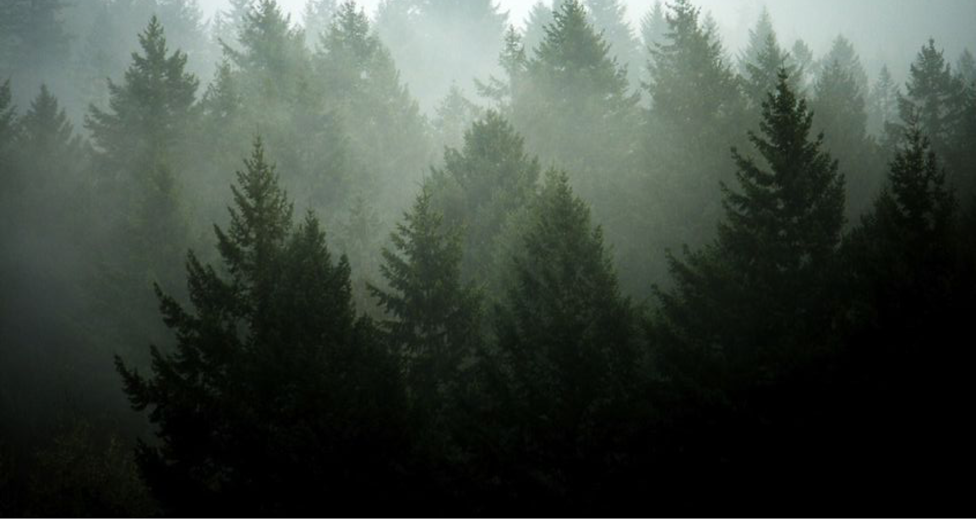 中国玉色，玉石为基，温润如玉